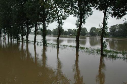 hochwasser 2010 061