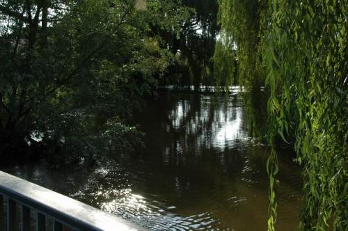 hochwasser 2010 063