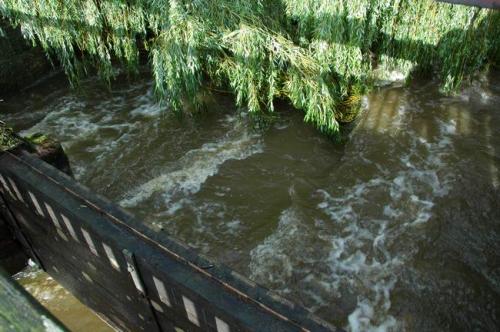 hochwasser 2010 067