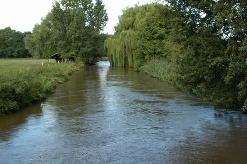 hochwasser 2010 077