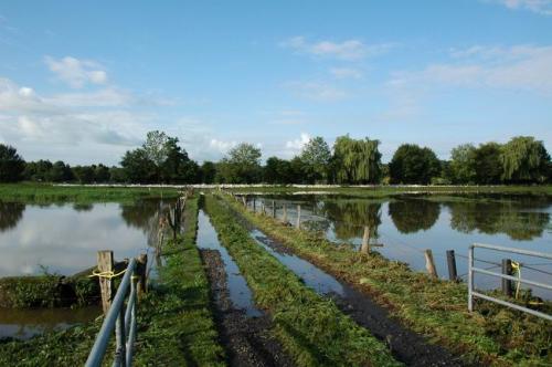 hochwasser 2010 083