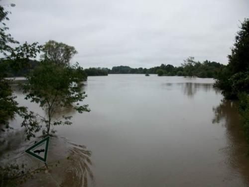 hochwasser 2010 095