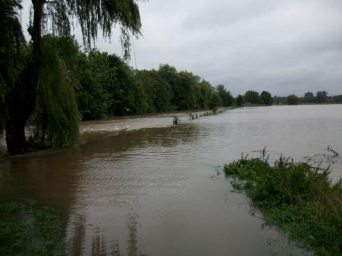 hochwasser 2010 102