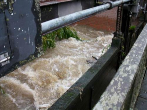 hochwasser 2010 113